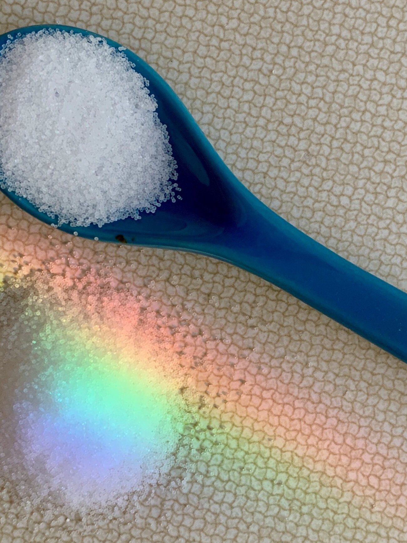 Sugar Part I: Fear + Stress Reactions