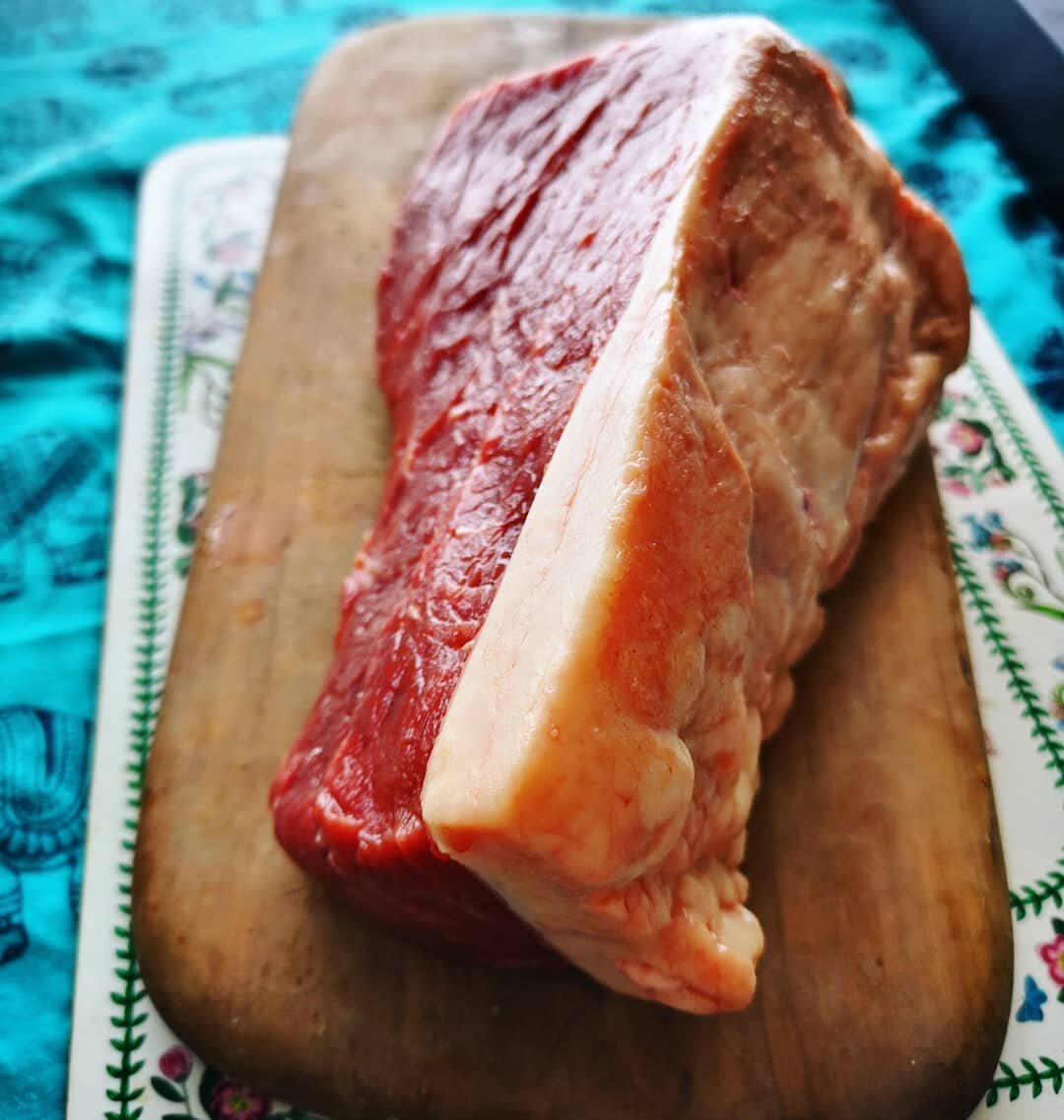 How the Carnivore Diet Can Heal Your Gut & Brain